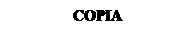 Casella di testo: COPIA    